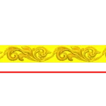 CORD109