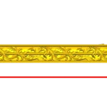 CORD113