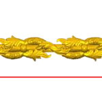 CORD207