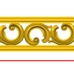 CORD224