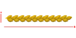 CORD237