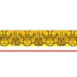 CORD24