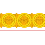 CORD263