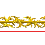 CORD31