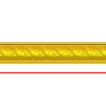 CORD55