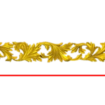 CORD78