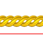 CORD81