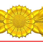 DECO153