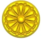 ROSE10