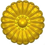 ROSE144