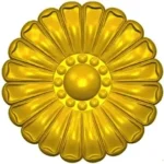 ROSE144