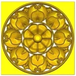 ROSE155