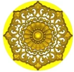 ROSE164