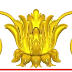 DECO277